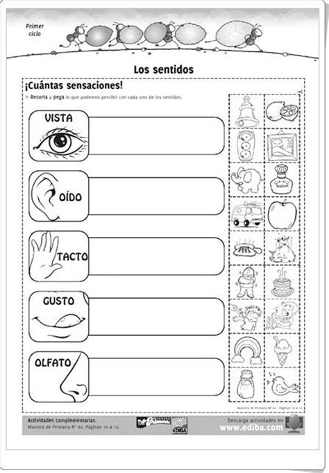 Recursos Didácticos Para Imprimir Ver Leer Los Sentidos Ediba