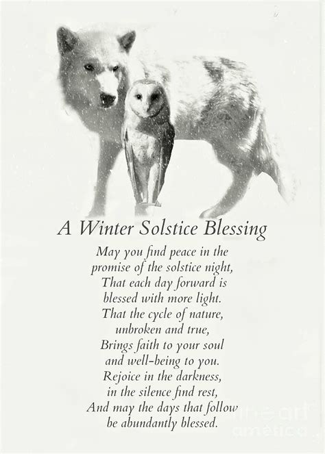Wolf And Owl In Snow Winter Solstice Blessings Photograph By Stephanie
