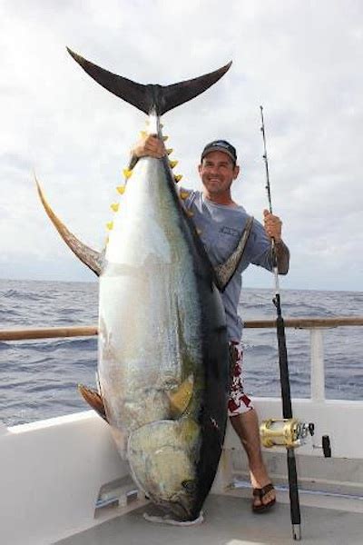 Worlds Largest Fish Ever Caught On Rod And Reel