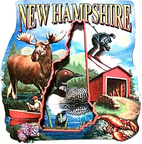 New Hampshire Montage Artwood Fridge Magnet