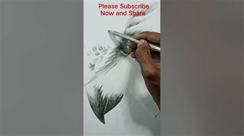 Pratim Art Creationowl Pencil Sketch Drawing Youtube