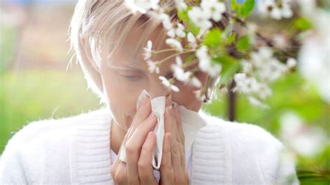 Allergie Au Pollen Quels Sont Les Symptômes