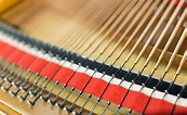 Is the Piano a Percussion or String Instrument? | Wonderopolis