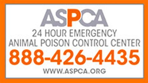 Maybe you would like to learn more about one of these? Community Partners in Orlando, FL | VCA East Colonial ...