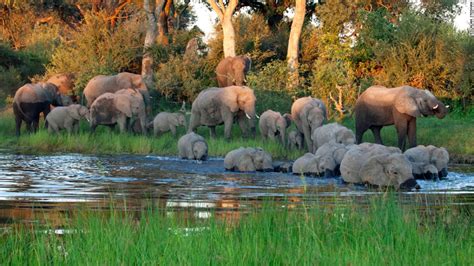 Namibia Wildlife Photographers Paradise