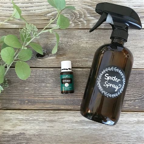 You can use it for a pest control spray in the garden or in your home. Make your own Spider Spray #DIY with Young Living Peppermint Oil Recipe on… | Peppermint spray ...