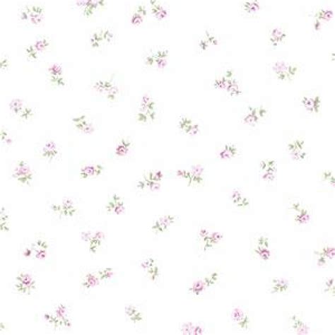 White Small Flower Wallpaper Gambar Bunga