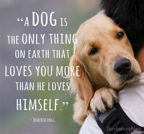 Quote A Dog Is The Only Thing On Earth That Loves You More Than He Loves Himself Dawn