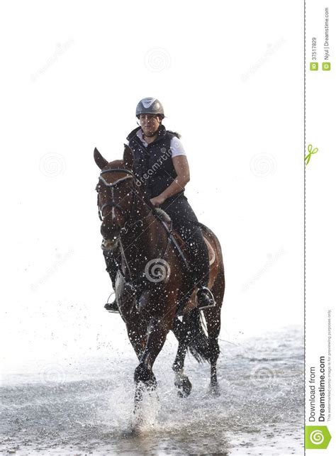 Horse Riding In The Water Stock Image Image Of River 37517829