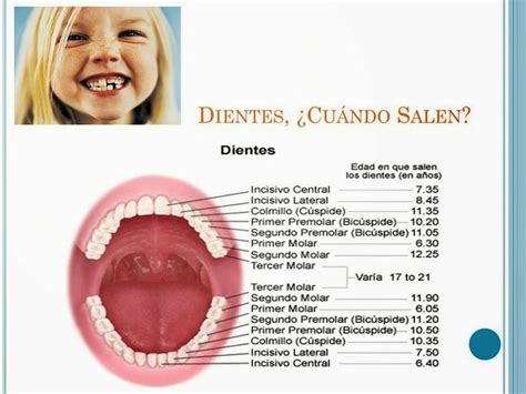 Healthy Teeth Dental Dental Art