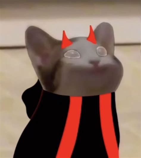 Bad 🐈‍⬛ In 2021 Pop Cat Cat Icon Fandom Memes