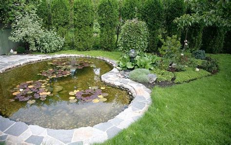 This should easily hold the recommended one thousand gallon water volume and give the koi plenty of room to move around. Best koi pond filter system | Large backyard landscaping, Ponds backyard, Pond landscaping
