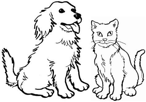 Kittens And Puppies Coloring Pages Funny And Cute Cats Gallery