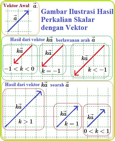 Perkalian Vektor Dengan Skalar Konsep Matematika Koma