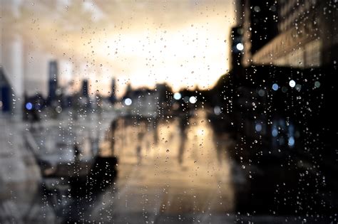 Free Images Light Night Sunlight Morning Rain Reflection