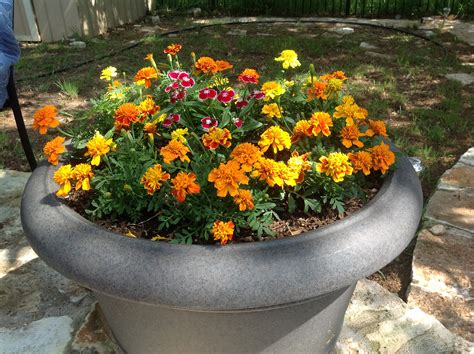 Jul 14, 2021 · 4. CubicFootGardening.com » Blog Archive » Container ...