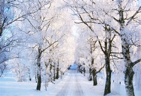 60 Beautiful Winter Pictures