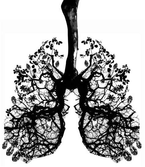 Doodle Lungs In 2020 Lungs Art Medical Tattoo Anatomy Art