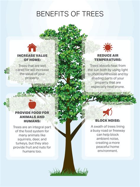 How To Choose A Tree For Your Yard Or Garden