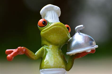 Frog Cooking Eat · Free Photo On Pixabay