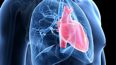 5 Things We Now Know About Pulmonary Arterial Hypertension