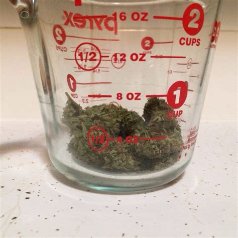 Just a little over 4 ounces of Mack truck : trees