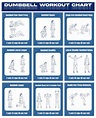 10 Best Dumbbell Exercises Chart Printable PDF for Free at Printablee