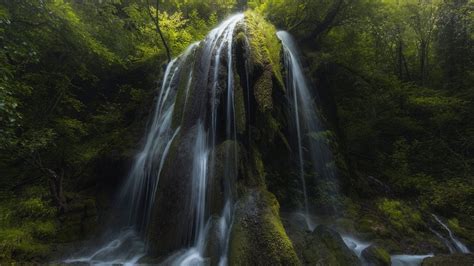 Forest Waterfall Scenery Nature Green Trees Algae Covered Rocks Hd