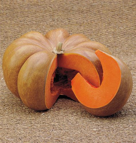 How To Grow Musquee De Provence Pumpkins An Heirloom Vegetable Dengarden