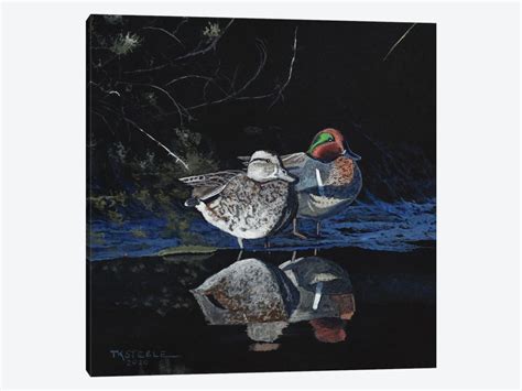 Green Wing Teal Art Print By Terry Steele Icanvas