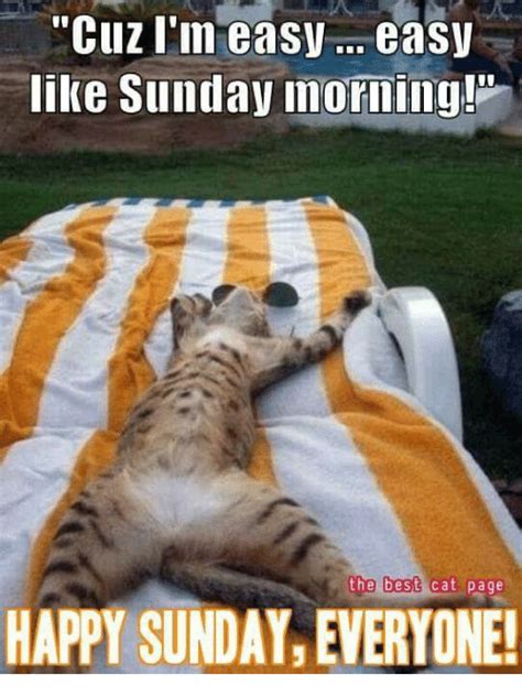 Best 32 Sunday Morning Memes Sunny Viral Sunday Morning Memes Sunday Morning Humor Sunday