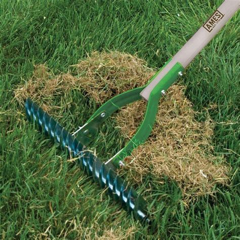 Lawn Dethatching Guide How To Dethatch A Lawn The Lawn Mowing King