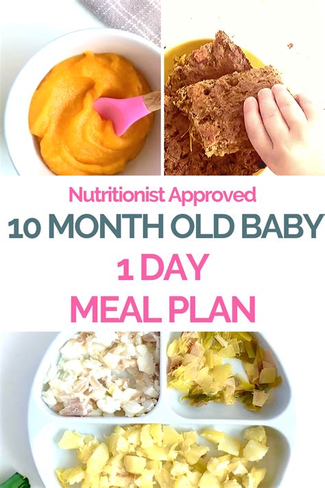 10 Month Old Meal Plan Nutritionist Approved Creative Nourish