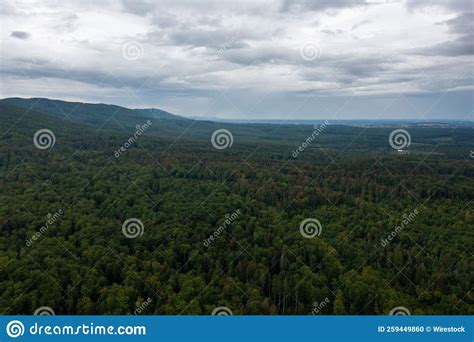 View Of Layered Mountain Ranges Covered With Dense Pine Forest And