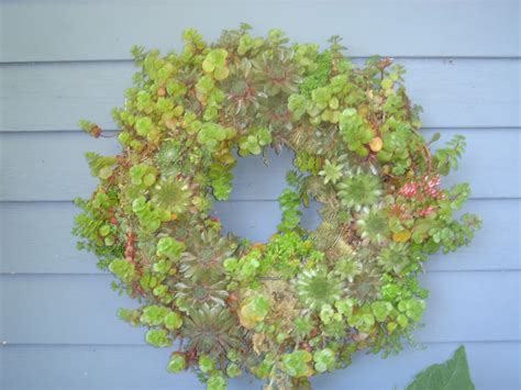 Feathers And Flowers Living Wreath