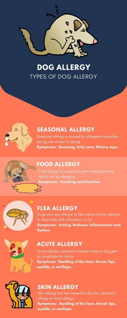 Cat and dog food allergy symptoms are similar. Dog Allergy: Causes, Symptoms, Home Remedy & Treatments ...