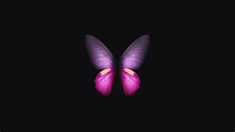 2560x1440 Samsung Galaxy Fold Butterfly 1440p Resolution Hd 4k