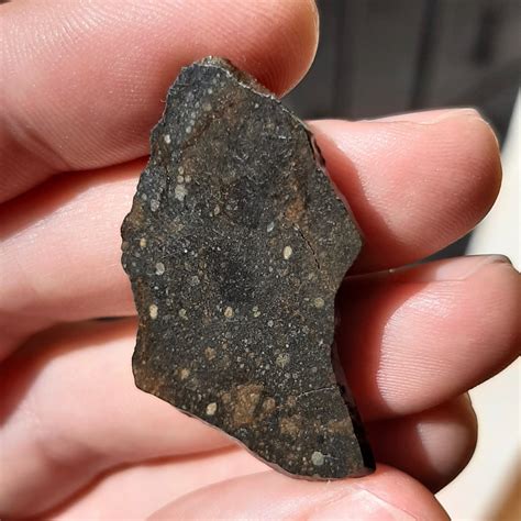 R Chondrite Nwa 13518 Rumuruti Meteorite Rare Type Slice Meteolovers
