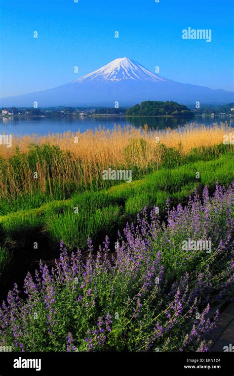 Yamanashi Prefecture Japan Stock Photo Alamy