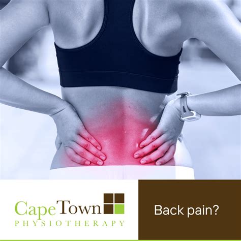 What Causes Lower Back Pain Your Questions Answered Cape Town Physiotherapy