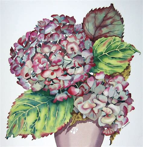 Botanical Flower Watercolour Hydrangea Pink Watercolor