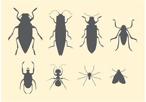 Free Vector Set Of Insects Download Free Vector Art Stock Graphics