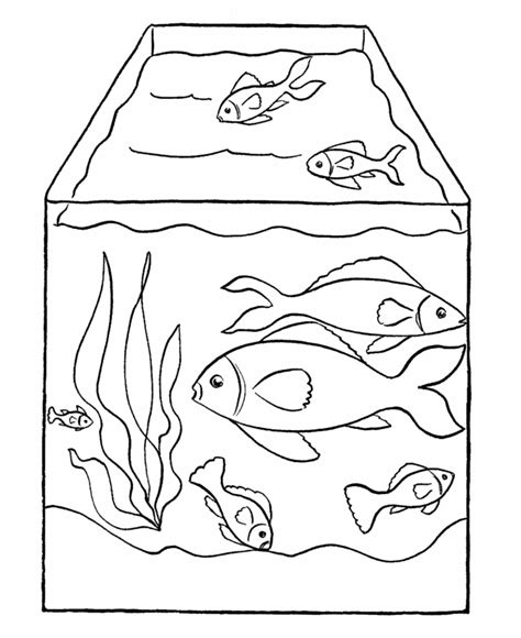 Luxury fish tank coloring page 70 for seasonal colouring pages. Aquarium Coloring Page - Coloring Home