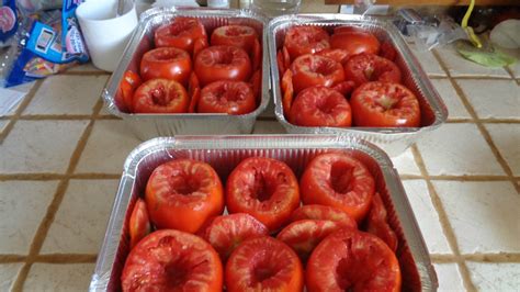 Congélation de tomates à farcir Bouh de laine et chant de coton