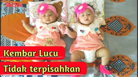 Bayi Kembar Lucu Dan Cantik Twins Baby Video Youtube