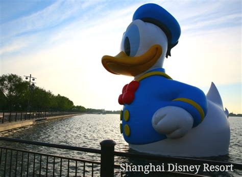 Donald Duck On Shanghai Disney Resort Wishing Star Lake In Disneytown