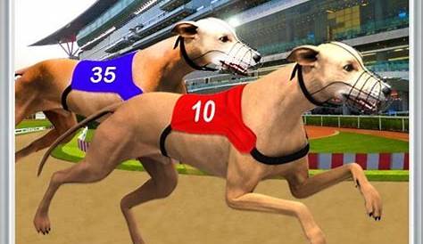 Play Dog Race Sim 2020: Dog Racing Games at All Games Free | Racing