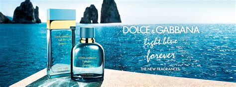 Light Blue Dolce Gabbana Damend Fte Parfumdreams