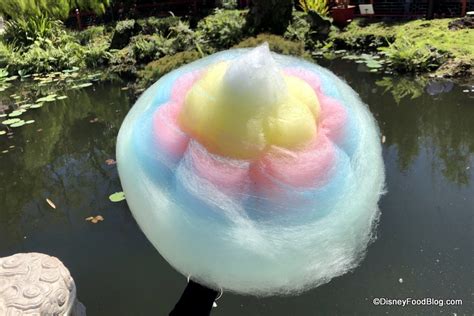 2019 Epcot Flower And Garden Festival Spotlight Chinese Cotton Candy