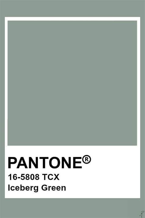 Eucalyptus Green Color Trend 2021 2022 In Interiors And Design Paleta